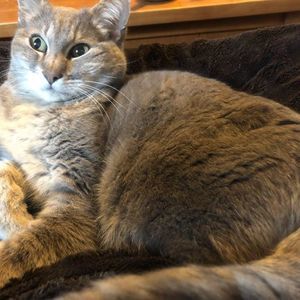 Meet your Posher, Pamela